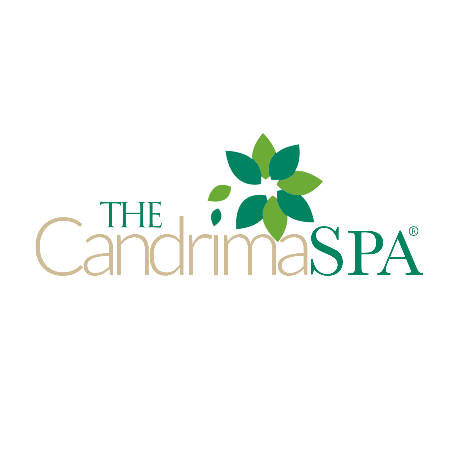 Candrima Mobile Spa in Miami, FL (5)