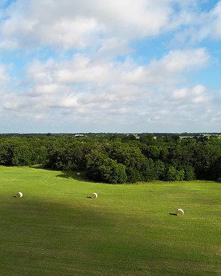 Robinson Real Estate in Fairfield, TX (3)
