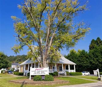 Spectra Hair Creations & Dayspa in Ellijay, GA (3)