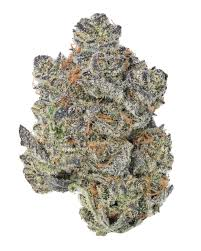 Harvested Dreams in Hendersonville, NC (5)