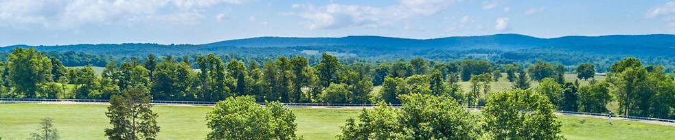 Cheryl Jordan, Realtor in Orange, VA (4)