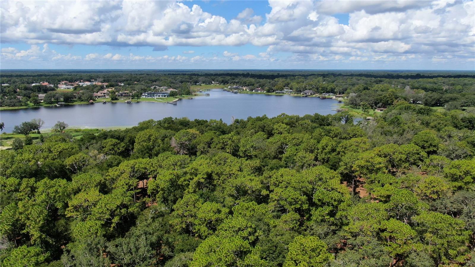 Mel Bernstein Team - Realtors at Premier Sotheby's International Realty in Lake Mary, FL (5)