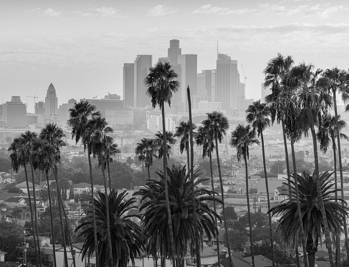 Moore & Paquette Tax Group in Burbank, CA