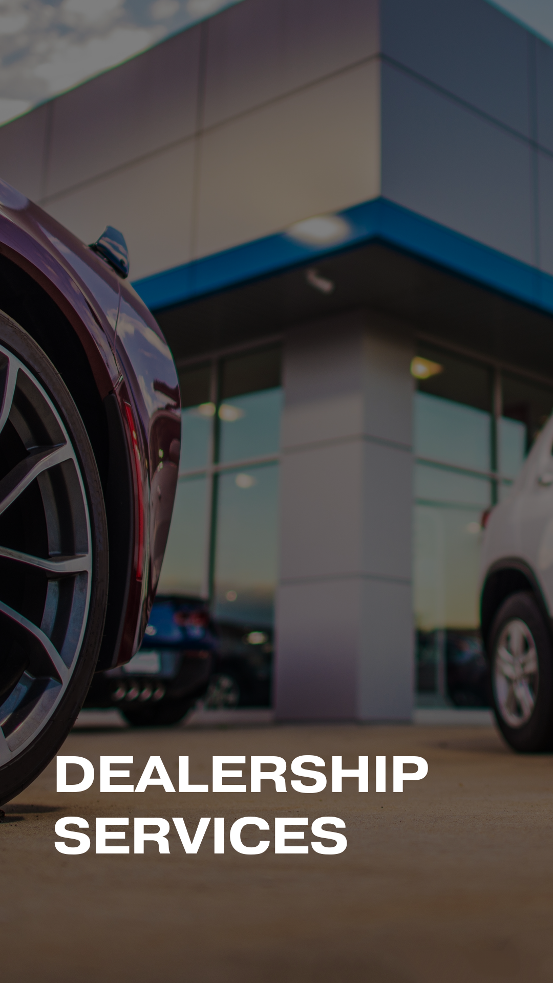 Rhino Mobile Detailing in Mentor, OH (3)