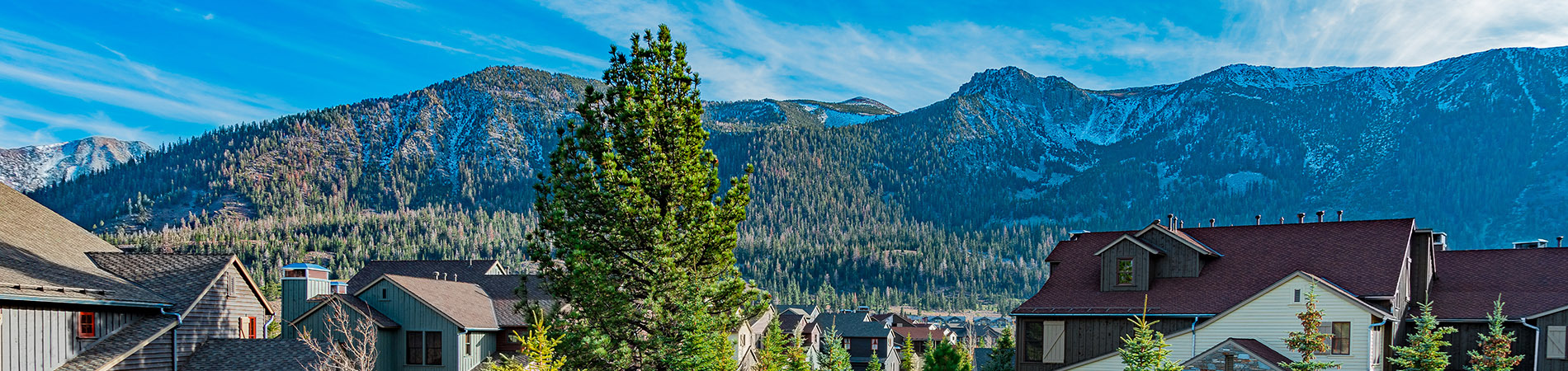 Jodi Melton, REALTOR | Mammoth Lakes Real Estate in Mammoth Lakes, CA (3)