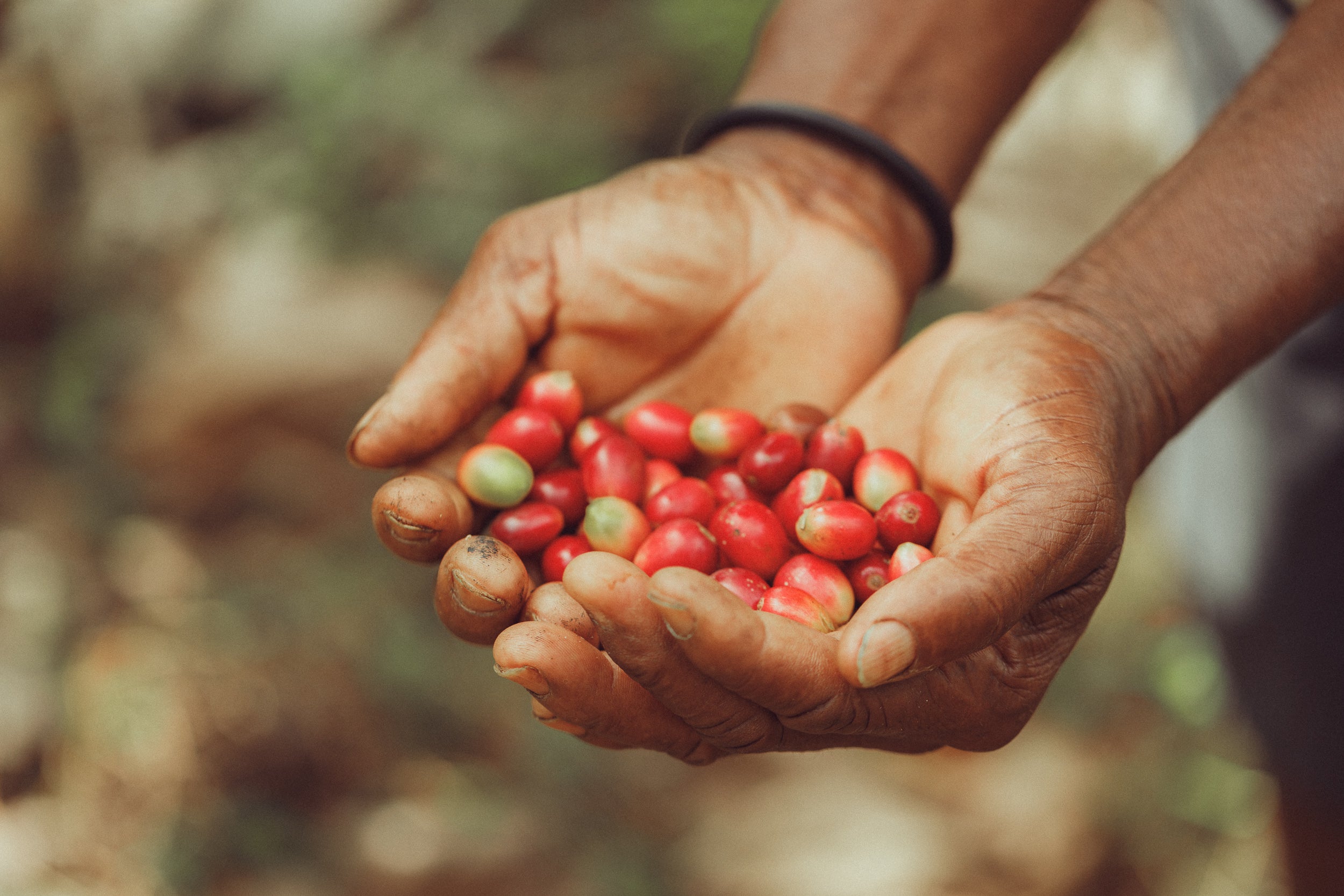 Avanti Coffee Company in St Cloud, FL (4)