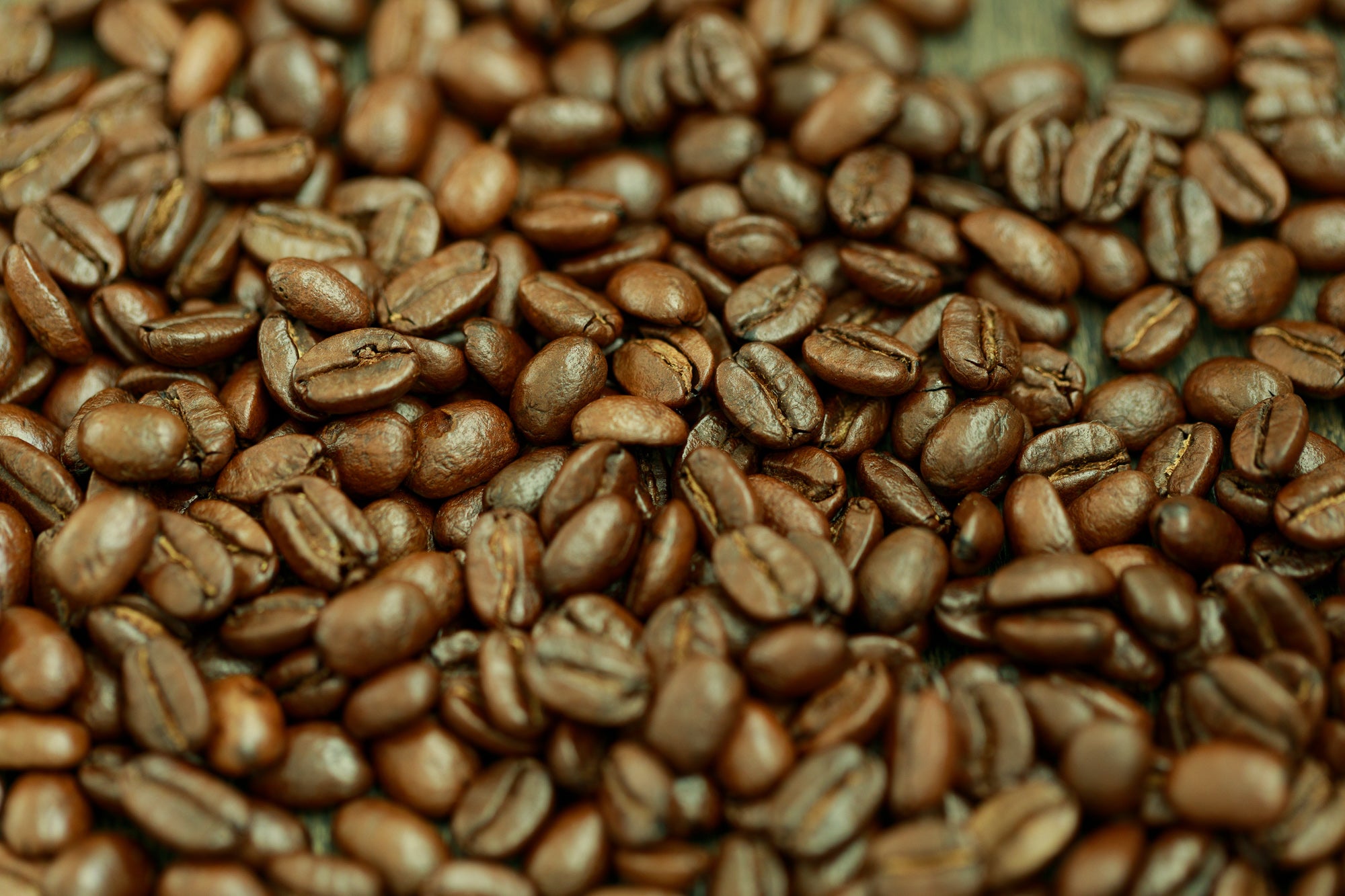 Avanti Coffee Company in St Cloud, FL (5)