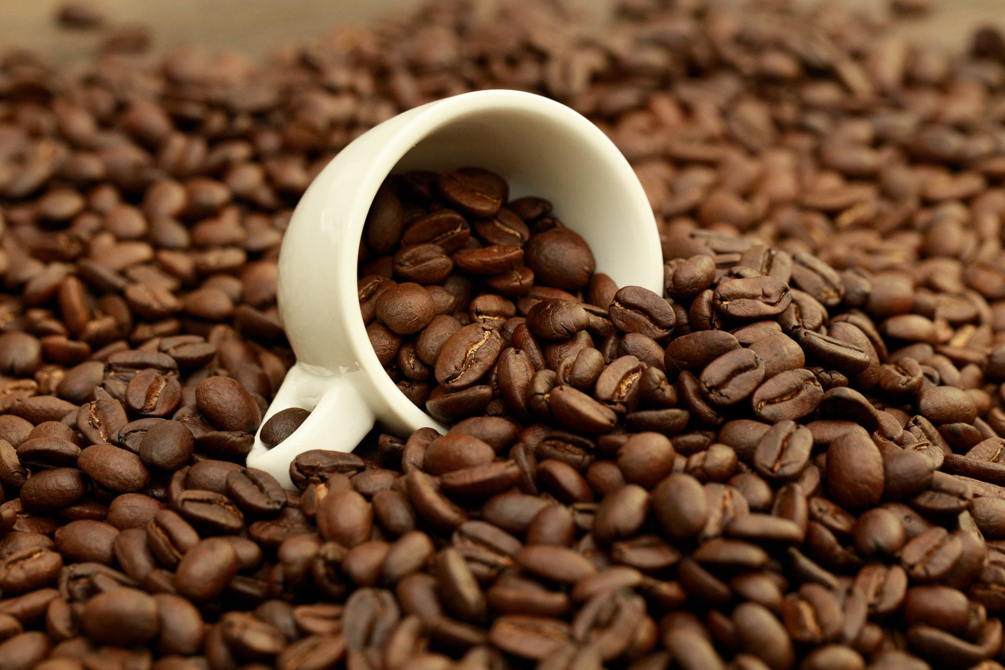 Avanti Coffee Company in St Cloud, FL (6)