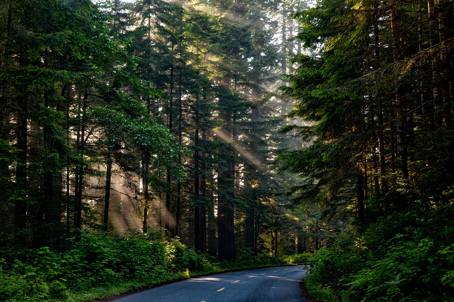 Willits Notary in Willits, CA