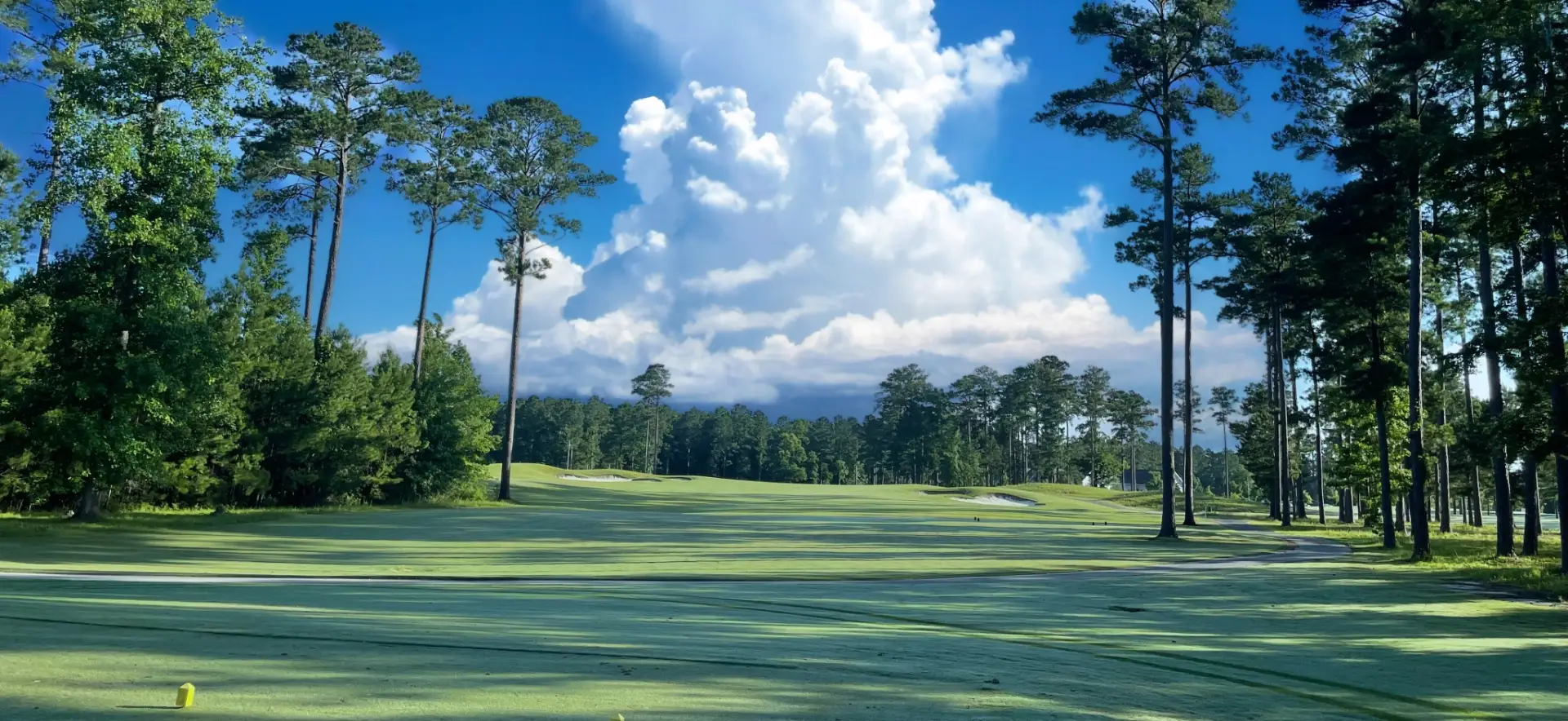 Carolina Colours Golf Club in New Bern, NC (4)