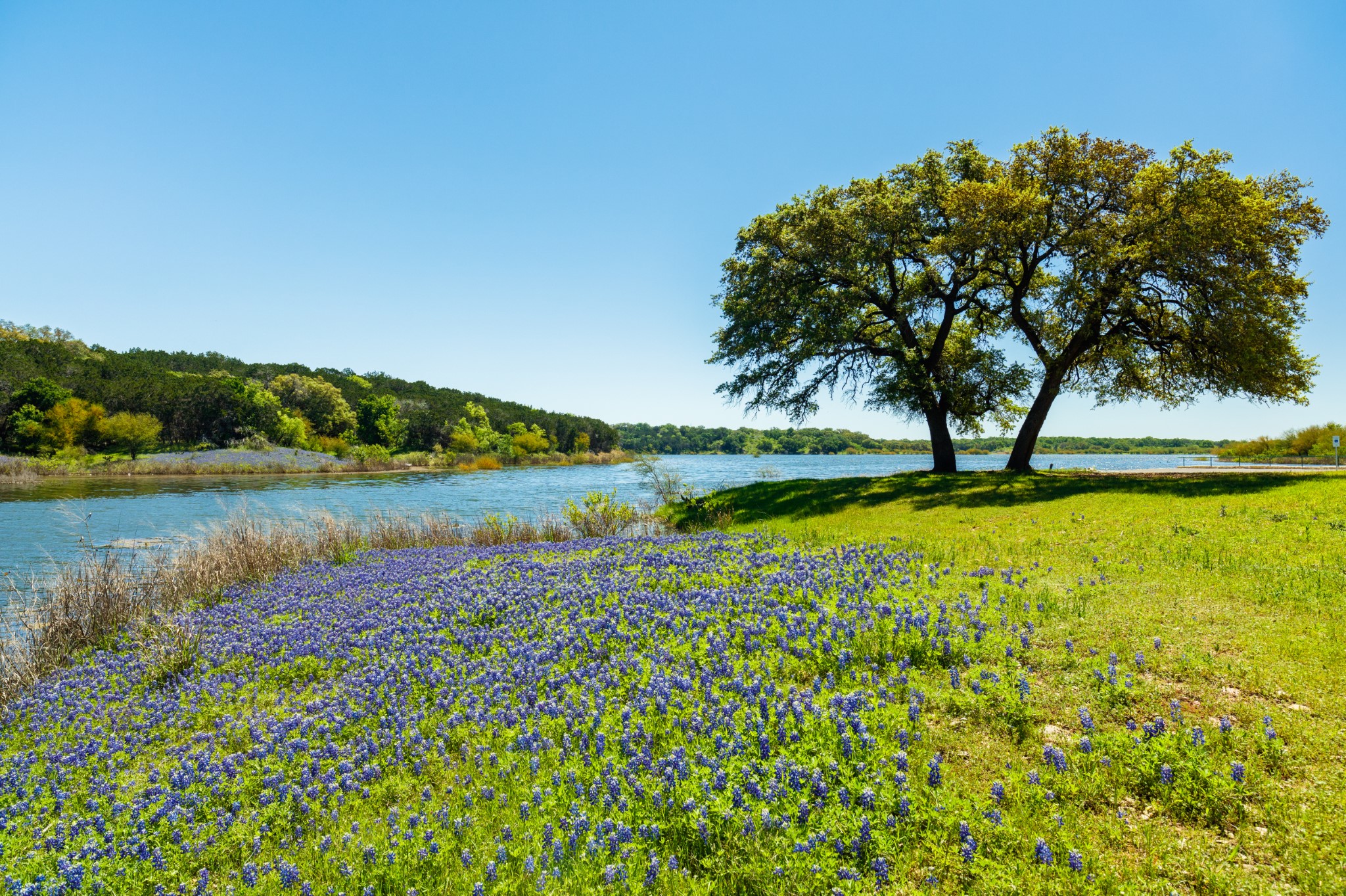 Longhorn Realty LLC in Liberty Hill, TX (5)