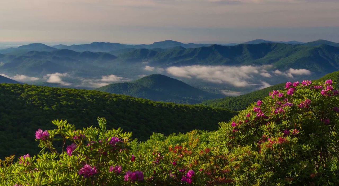 Precision Accounting Services in Asheville, NC