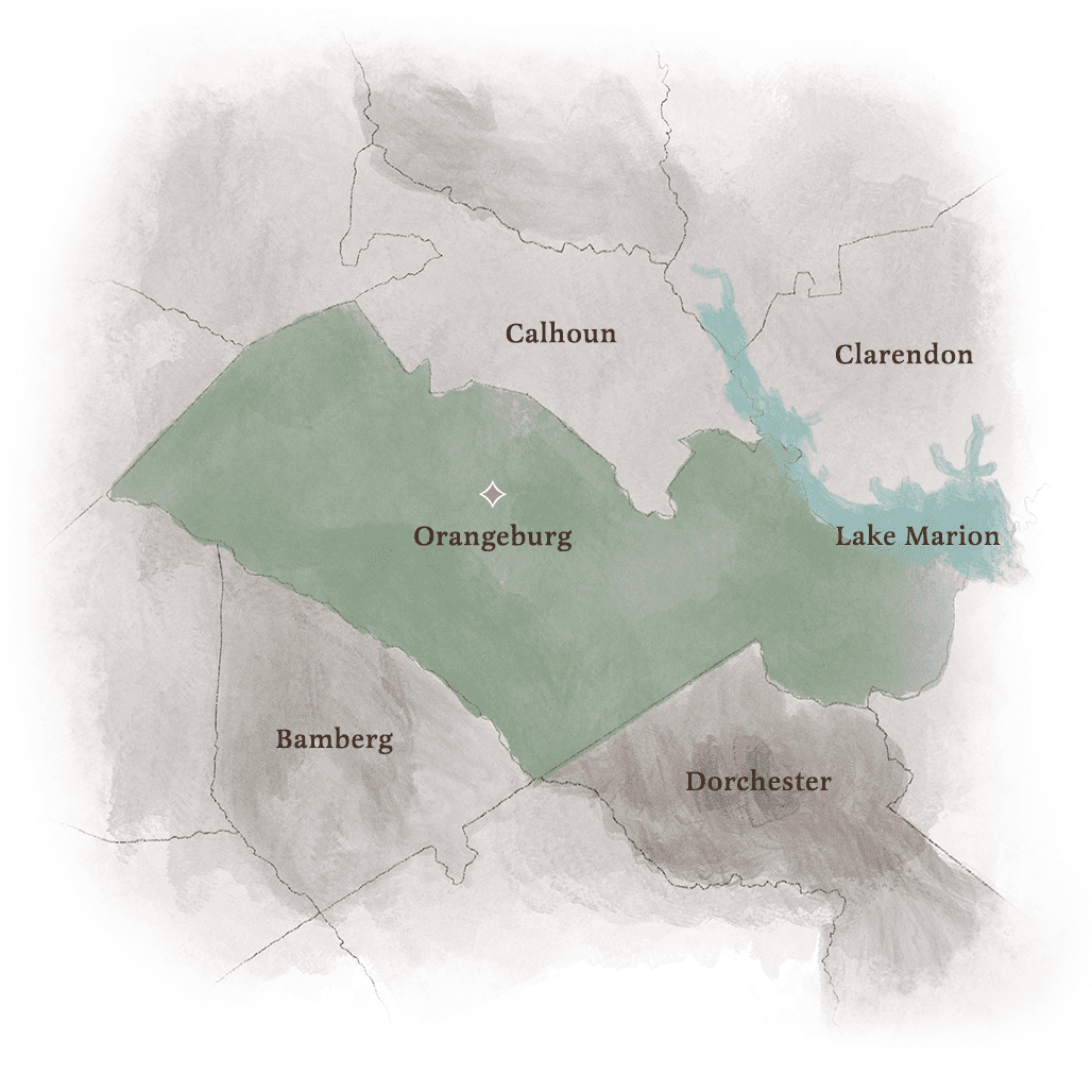 The Williams Firm in Orangeburg, SC (2)