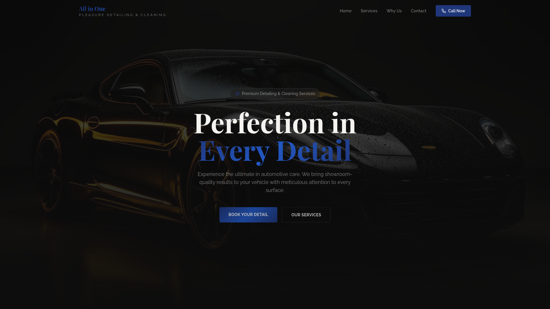 All in One Pleasure Detailing and Cleaning LLC in Roebuck, SC (2)