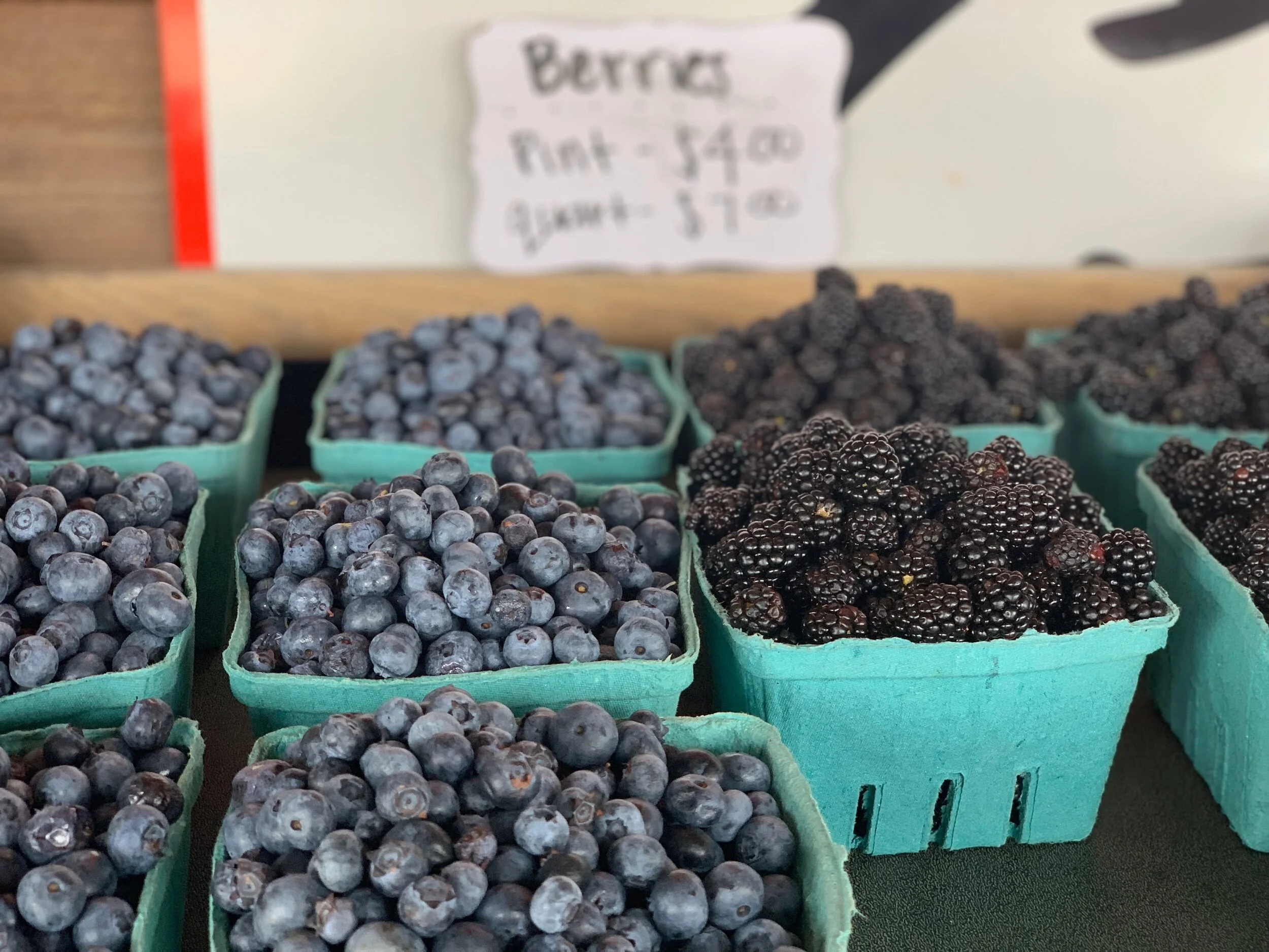 Peaches n' Cream in Wadesboro, NC (2)