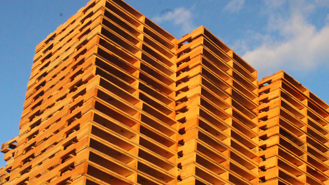 B&L PRIME PALLETS in Kenbridge, VA (2)