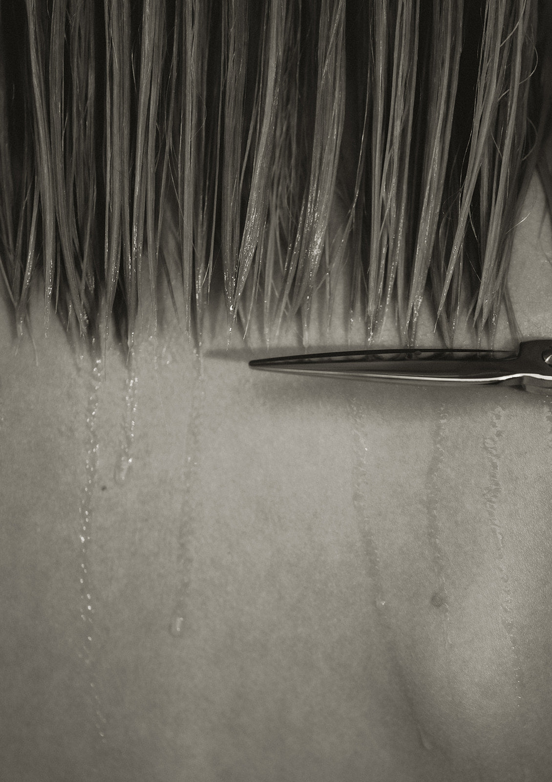 MUSE Salon in Walnut Creek, CA (5)