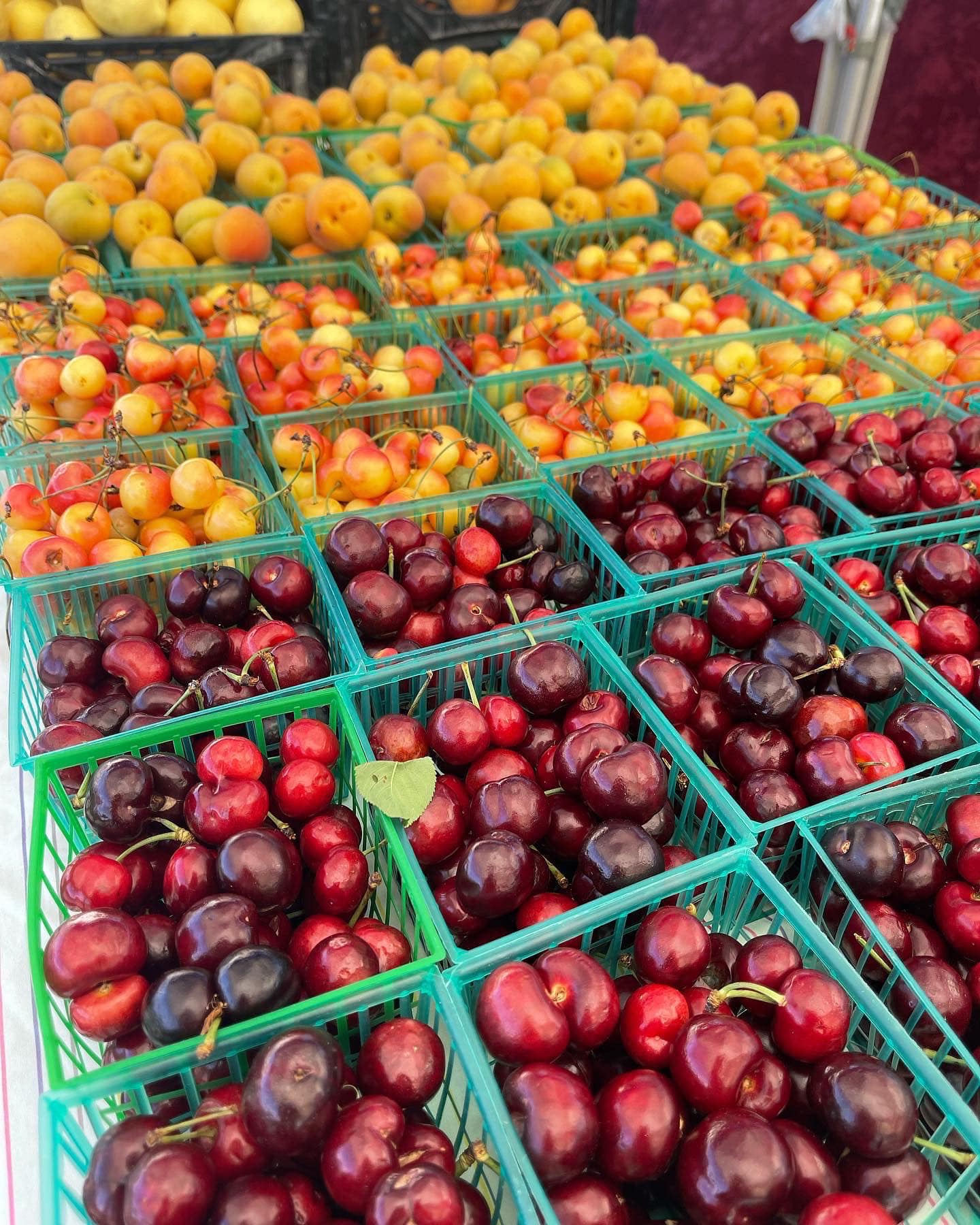 Indian Wells Certified Farmers Market in Indian Wells, CA (2)