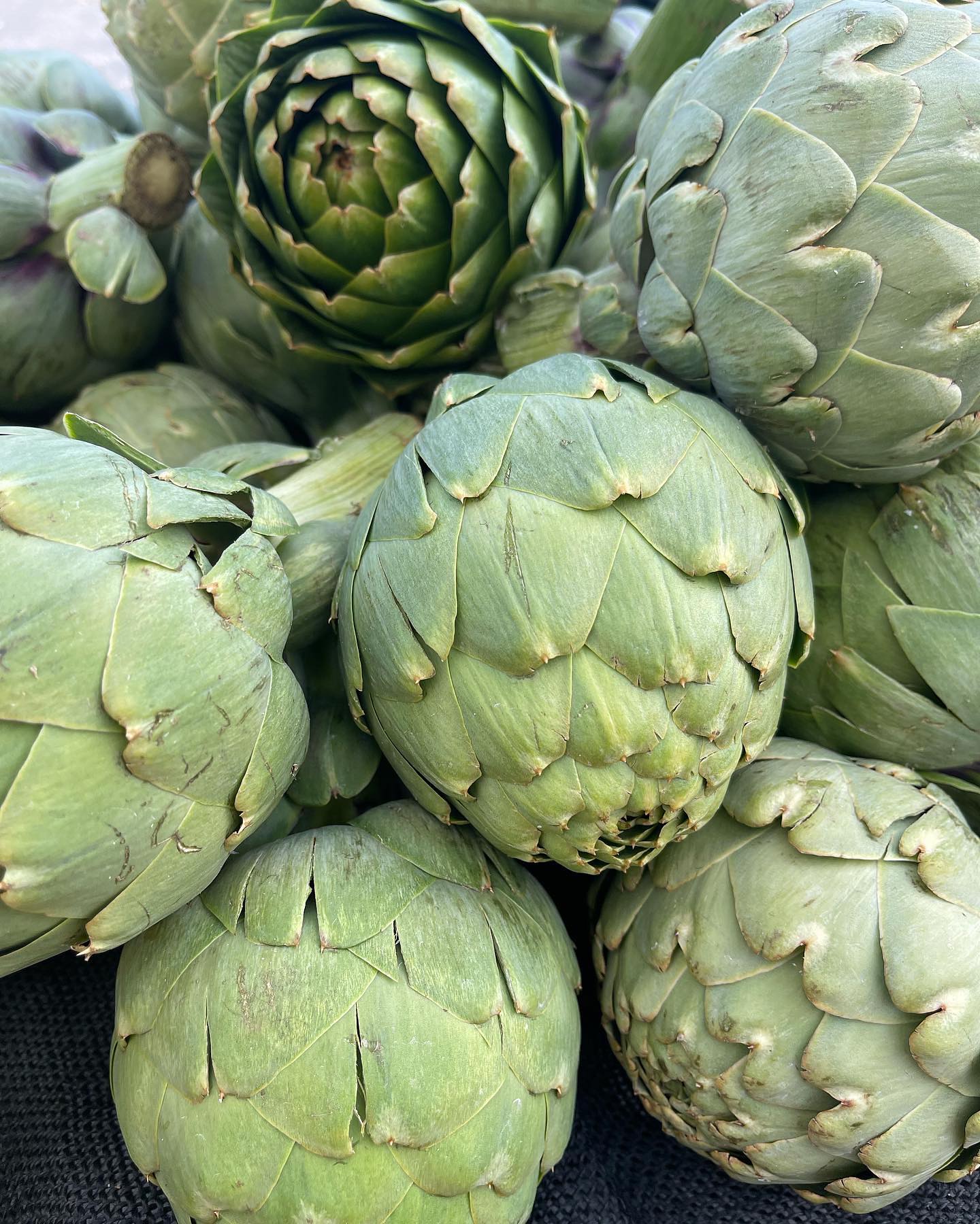 Indian Wells Certified Farmers Market in Indian Wells, CA (3)