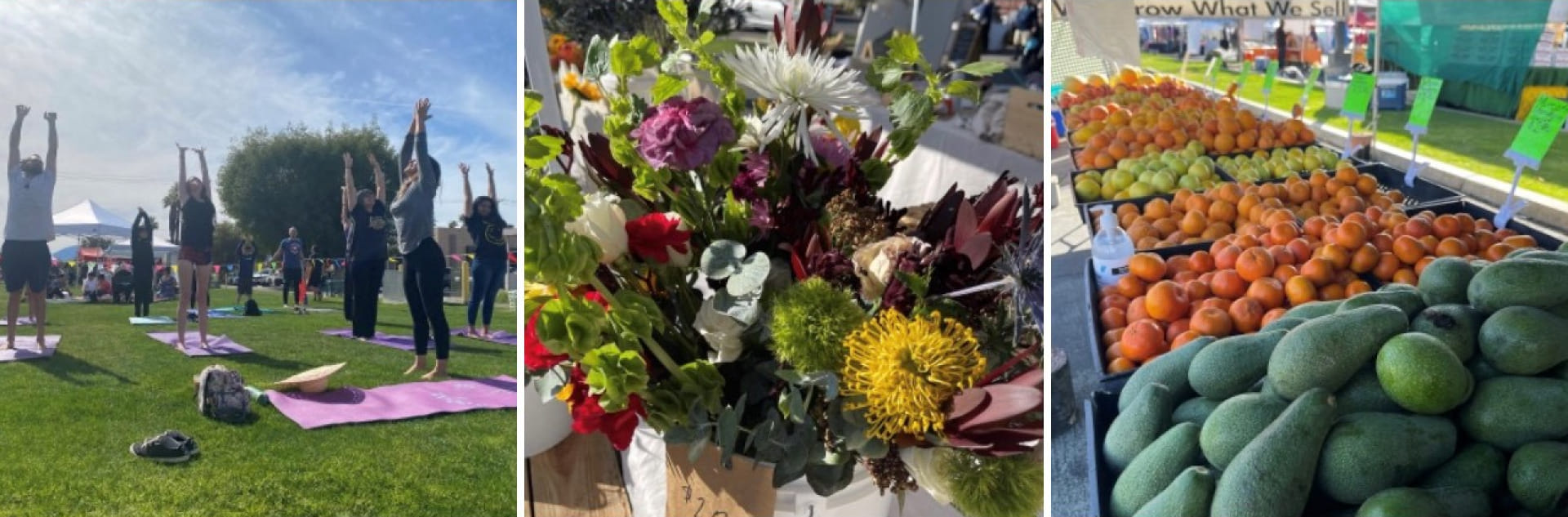 Indian Wells Certified Farmers Market in Indian Wells, CA (6)