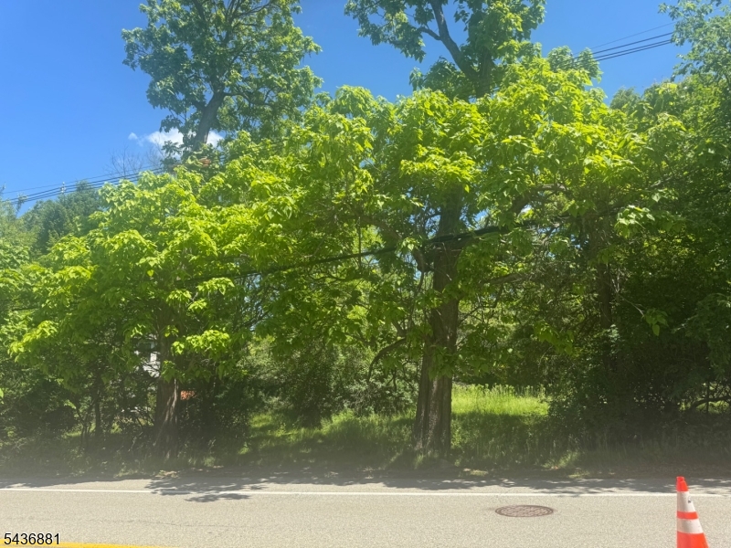 Brown & McCrea Real Estate Team in Basking Ridge, NJ (2)