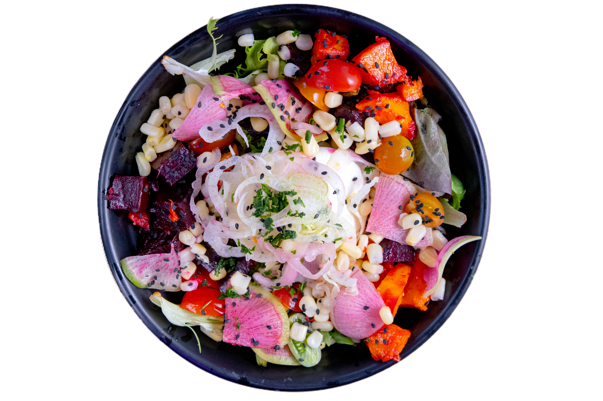 Chowa Bowl | Pismo Beach in Pismo Beach, CA