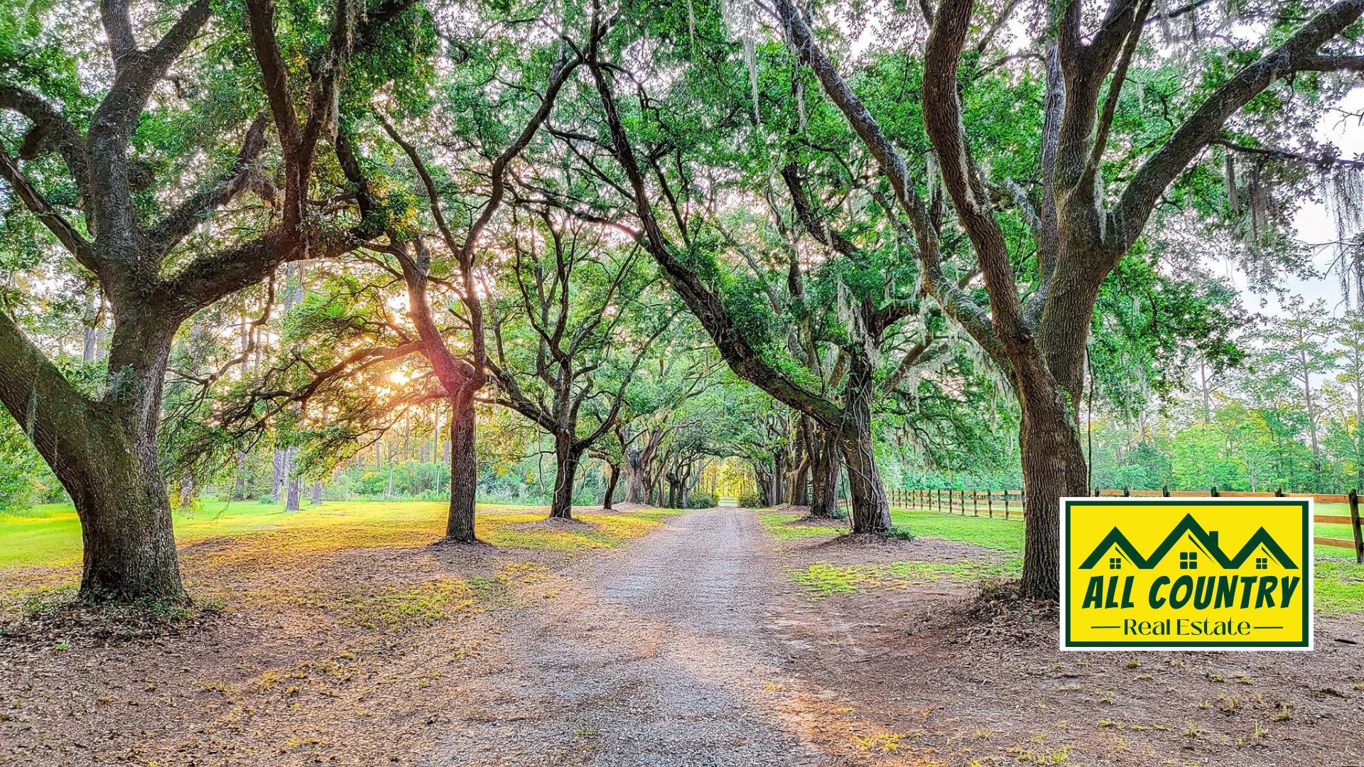 Cal Griffin-All Country Real Estate in Walterboro, SC (2)