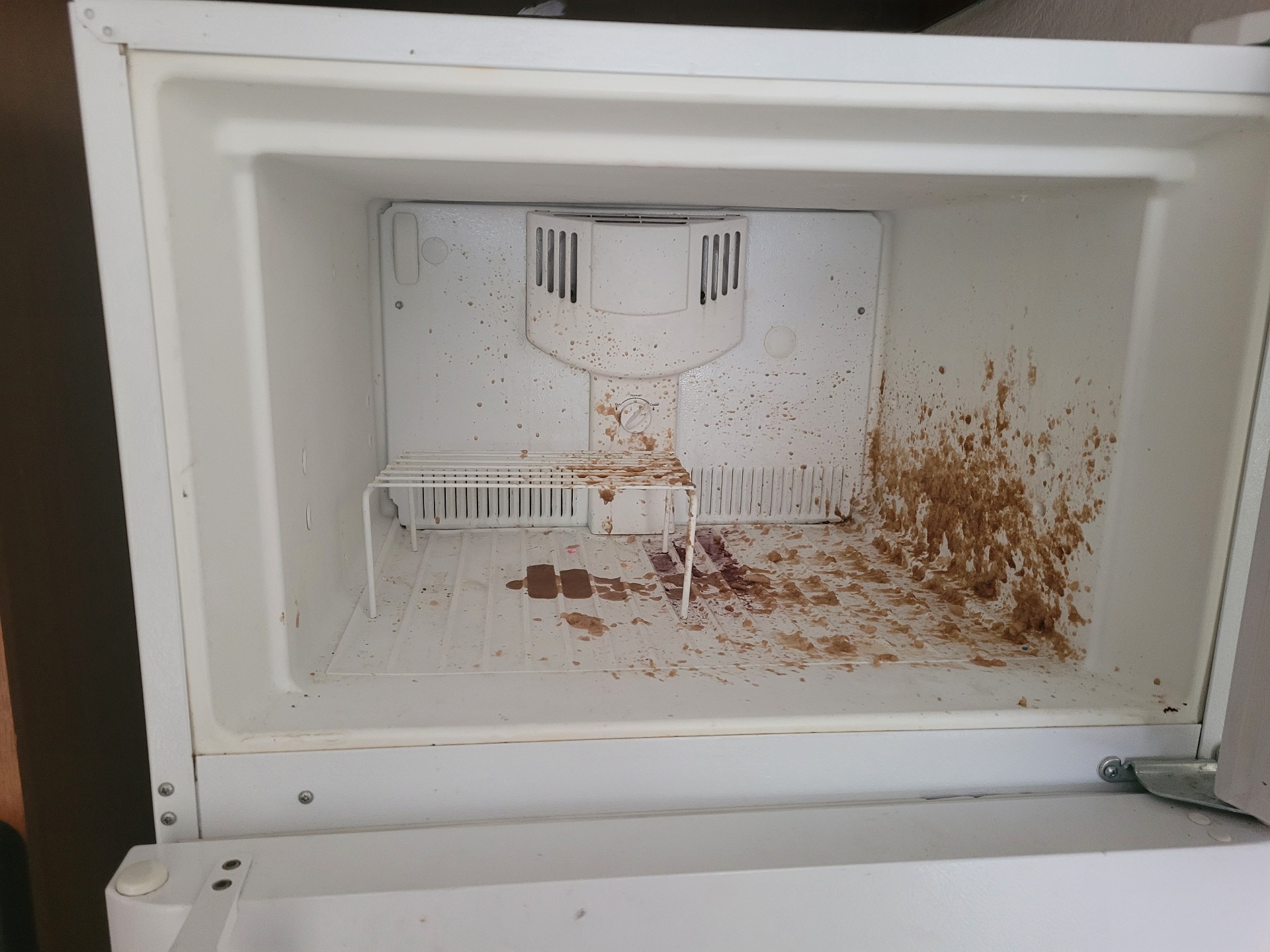 ProSpace Cleaning Co in Lodi, CA (5)