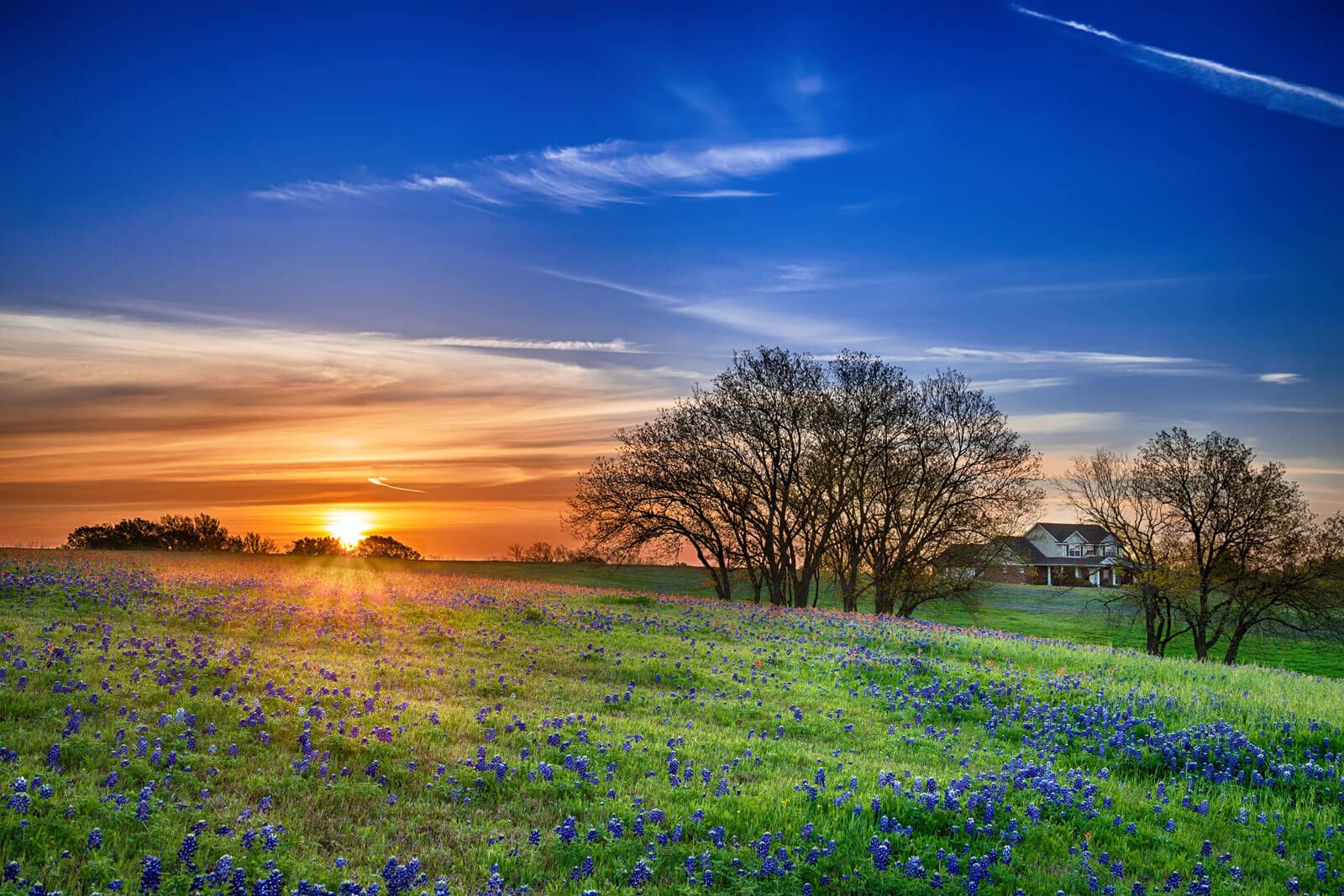 Leticia Valdez Real Estate Broker -McAllen/RGV/San Antonio/SPI Broker, Hablo Español in Pharr, TX (4)