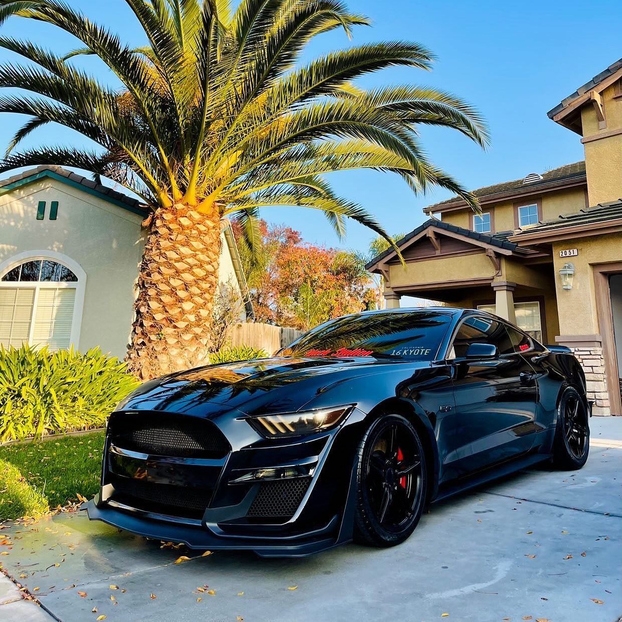 Black Sheep Auto Detailing in Sunnyvale, CA (3)