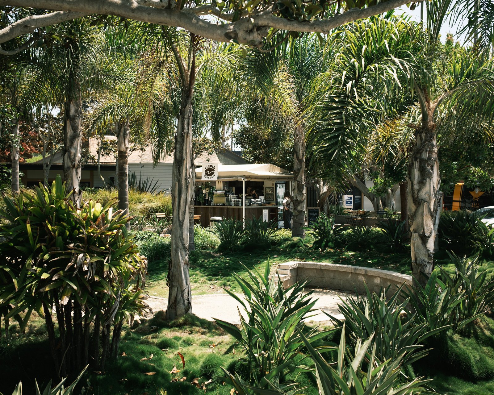 Liquid Bean Cafe in Del Mar, CA (2)