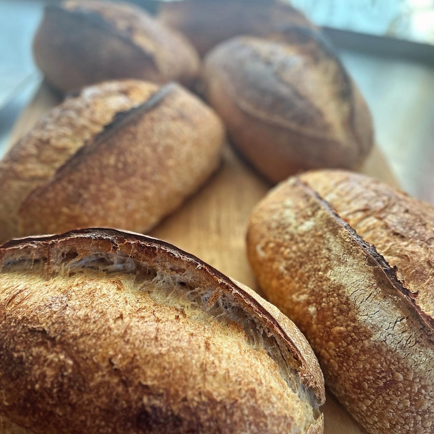 Alchemy Bread in Modesto, CA