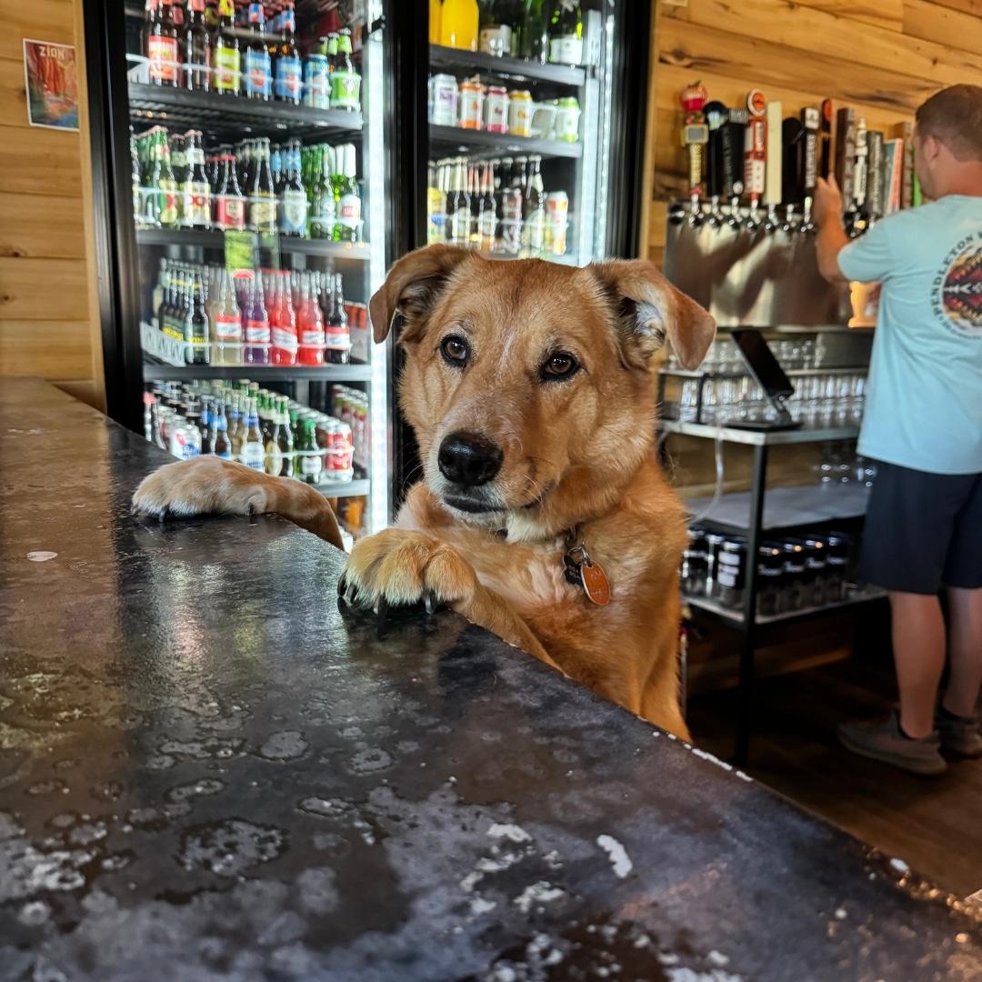 Barker Brewhouse in Evansville, IN (2)