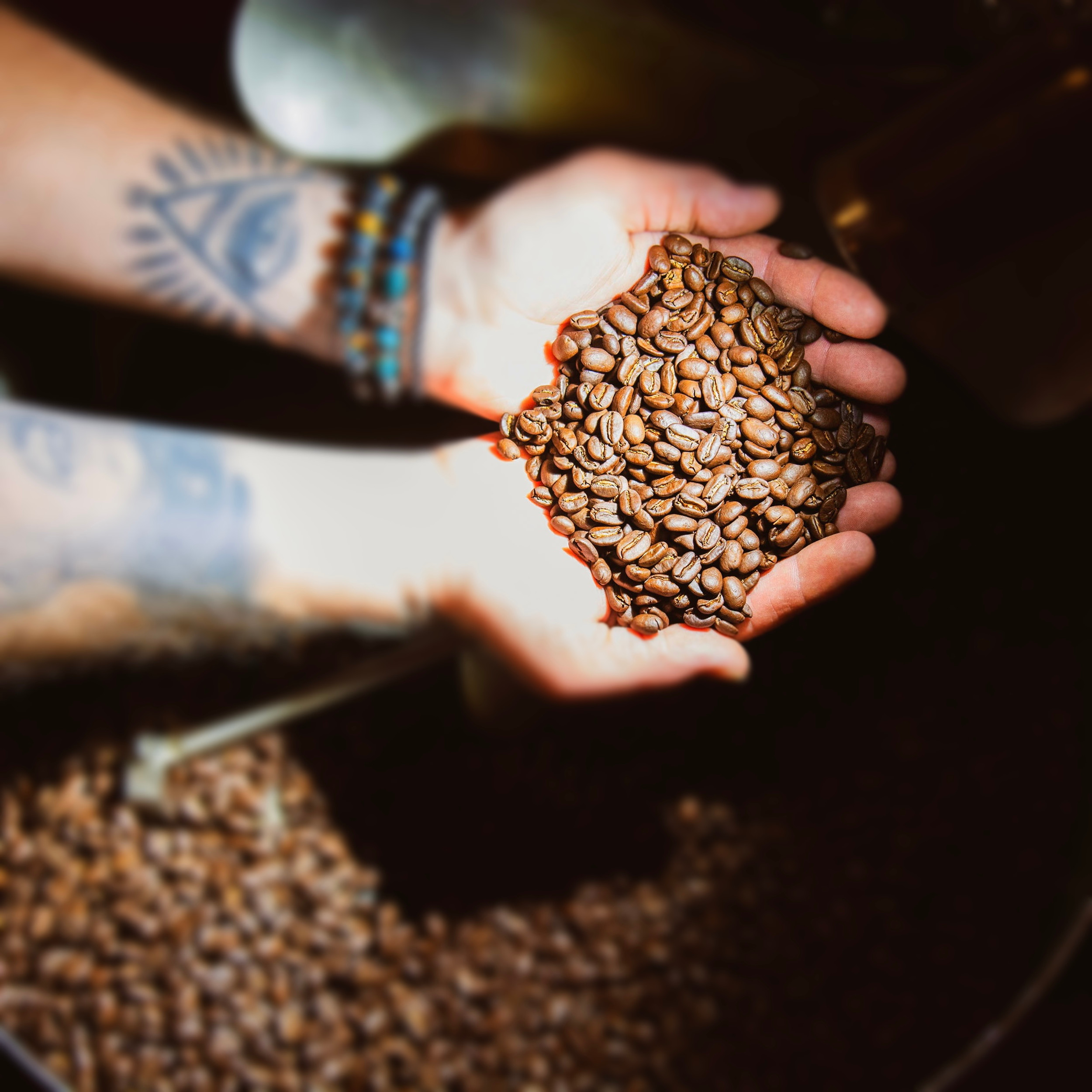 Bare Roots Coffee & Kava Lounge in South Lake Tahoe, CA