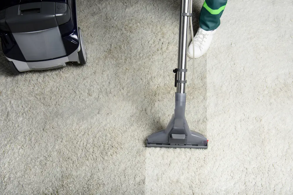 Monroy SF Cleaning Services in Belvedere Tiburon, CA (6)