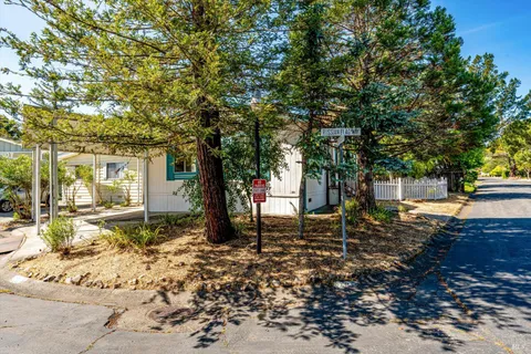Tiffany Knef, Realtor @ Compass RE DRE # 01261601 in Sonoma, CA