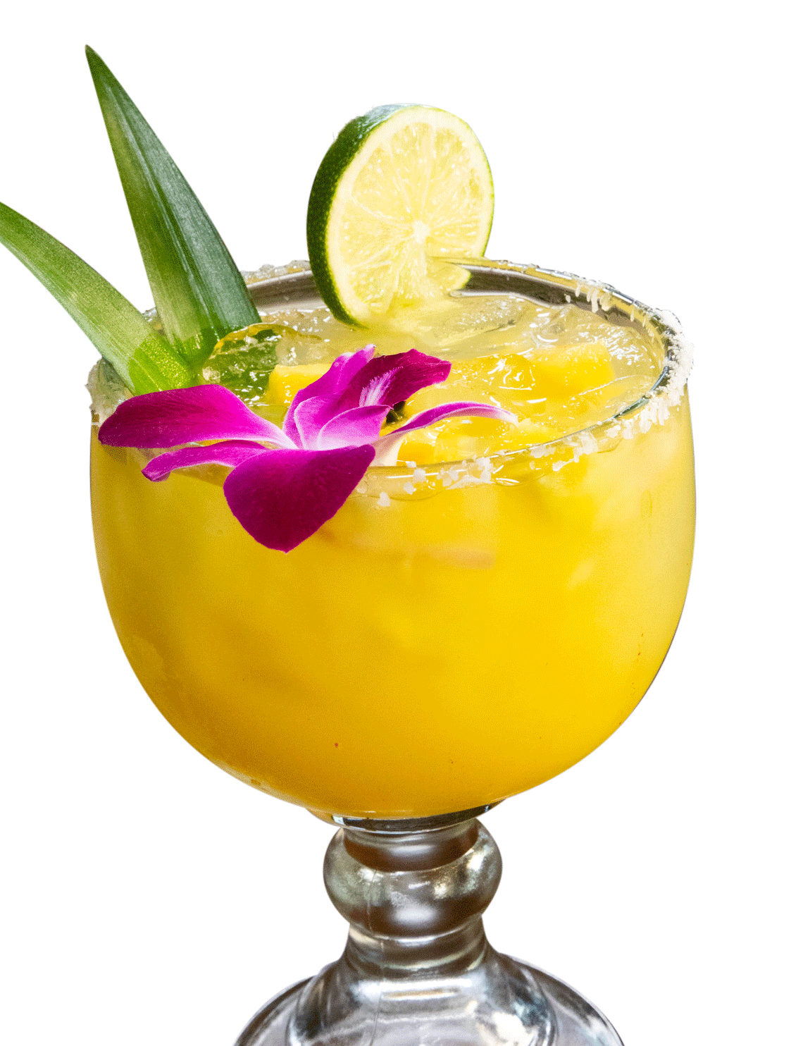 Cozumel Mexican Kitchen and Beach Bar in Bald Head Island, NC