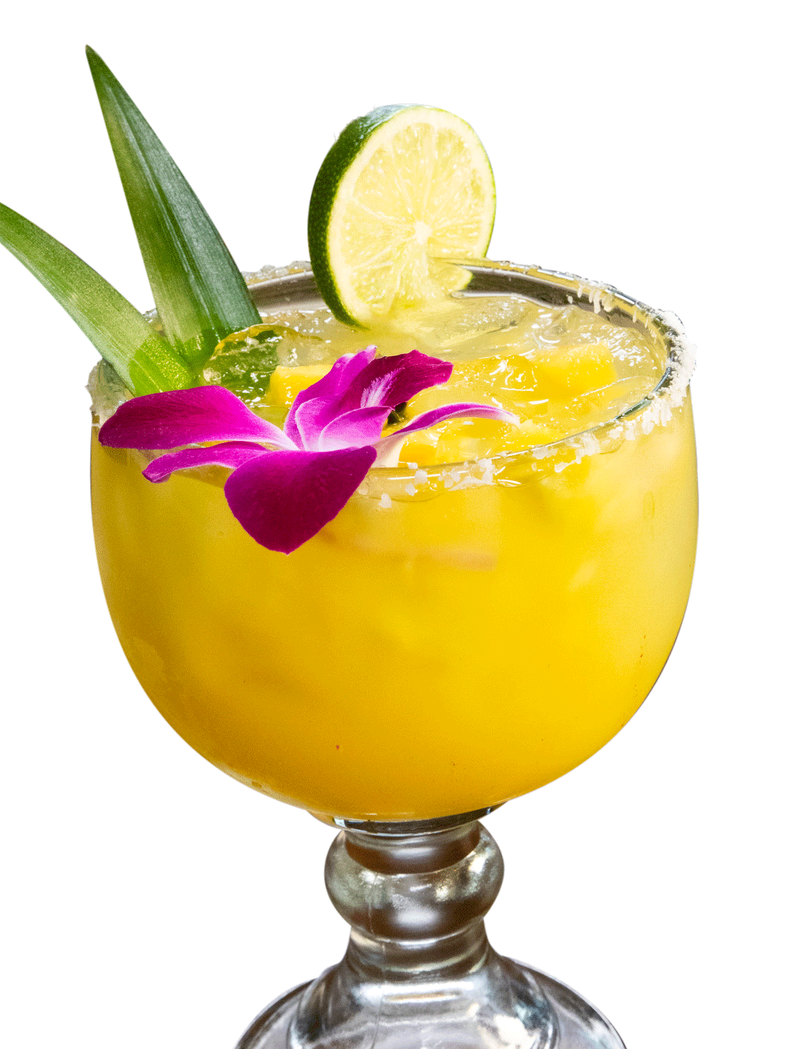 Cozumel Mexican Kitchen and Beach Bar in Bald Head Island, NC (4)