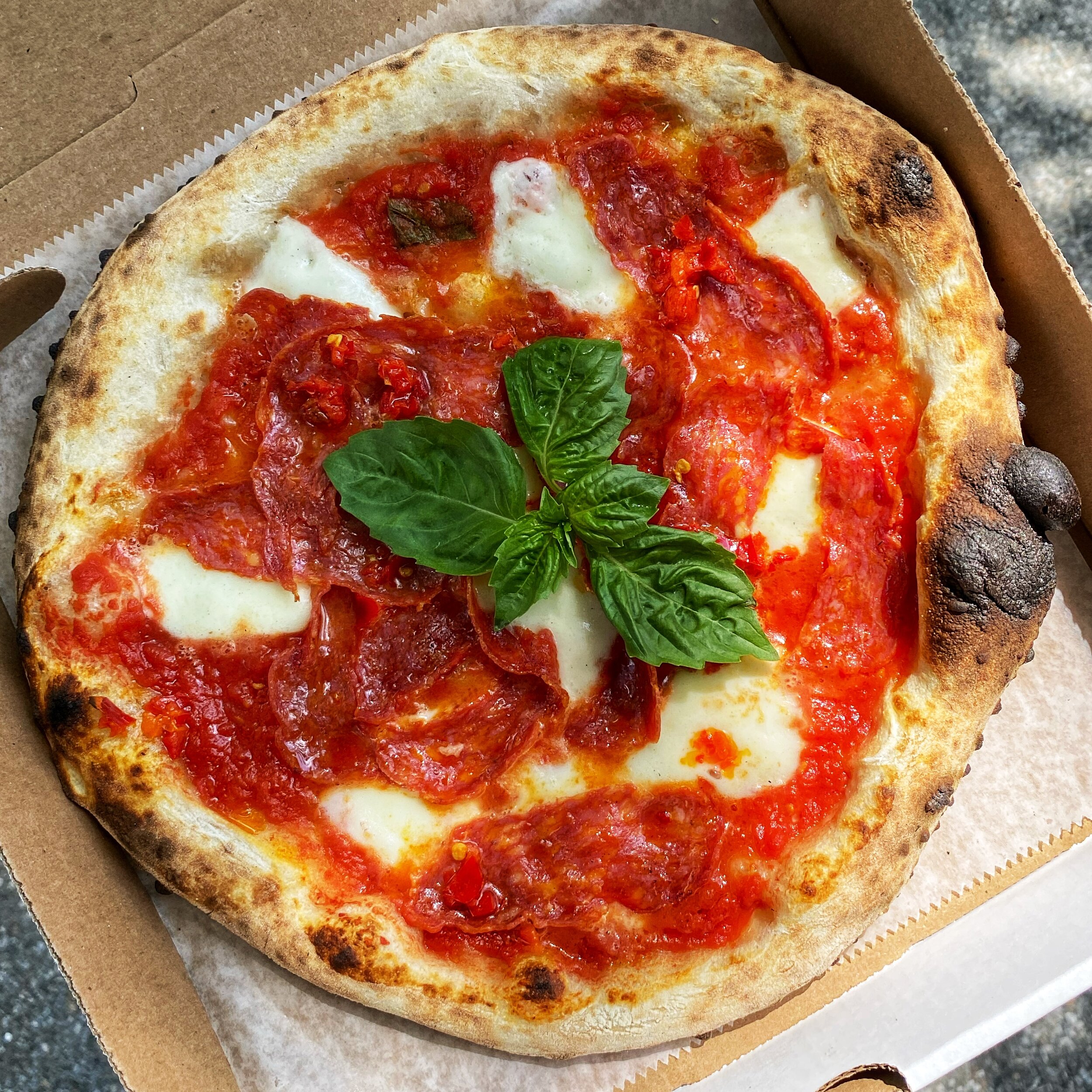 Pizza Vitale Wood Fired Truck in Mamaroneck, NY (6)