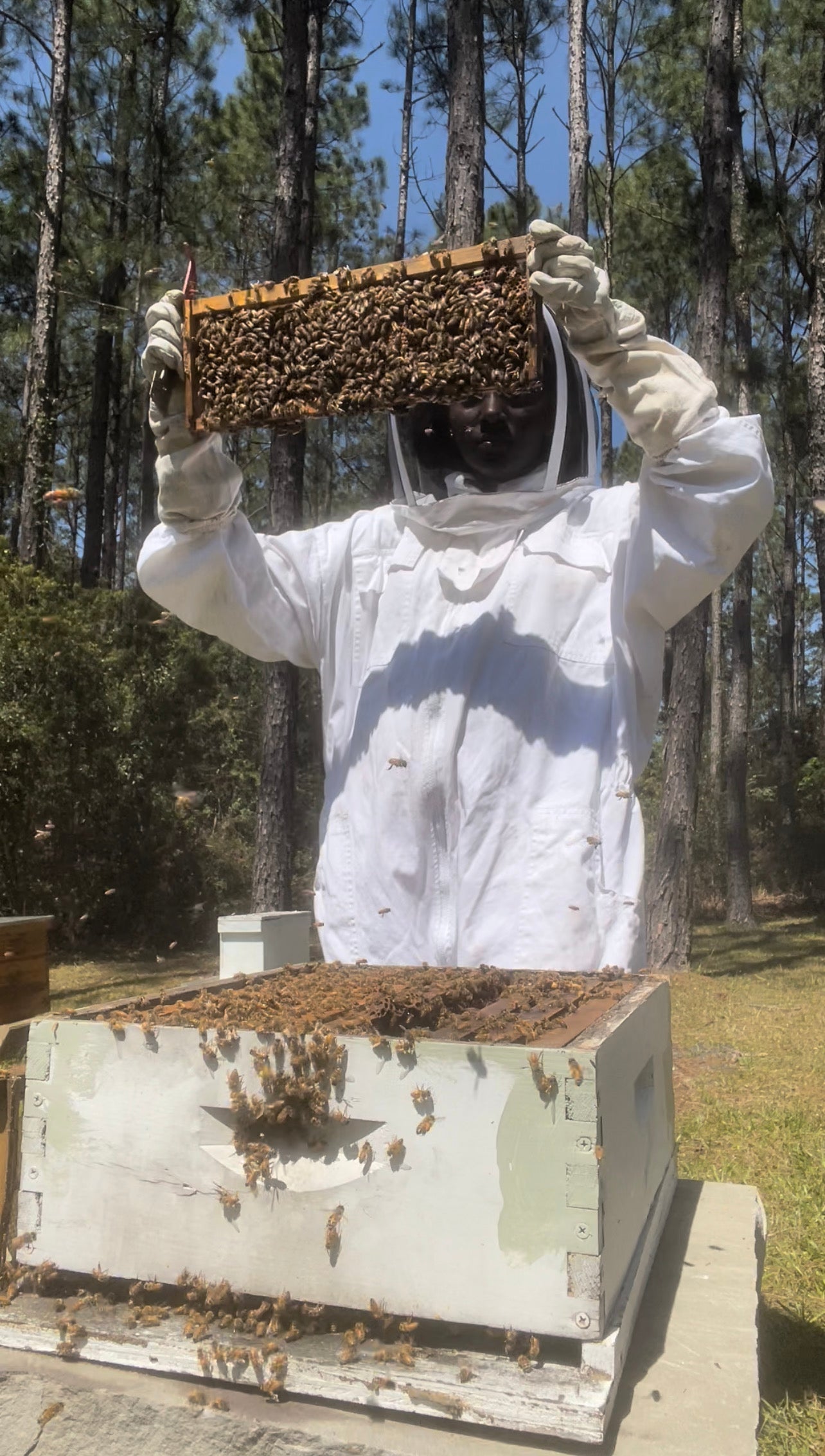 Bee-Youtiful Beauties in Ebro, FL (4)