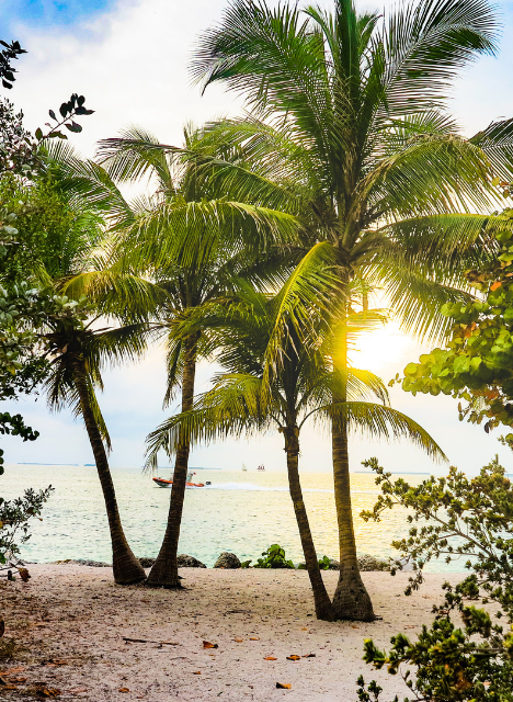 Garcia Law Firm in Key West, FL (2)