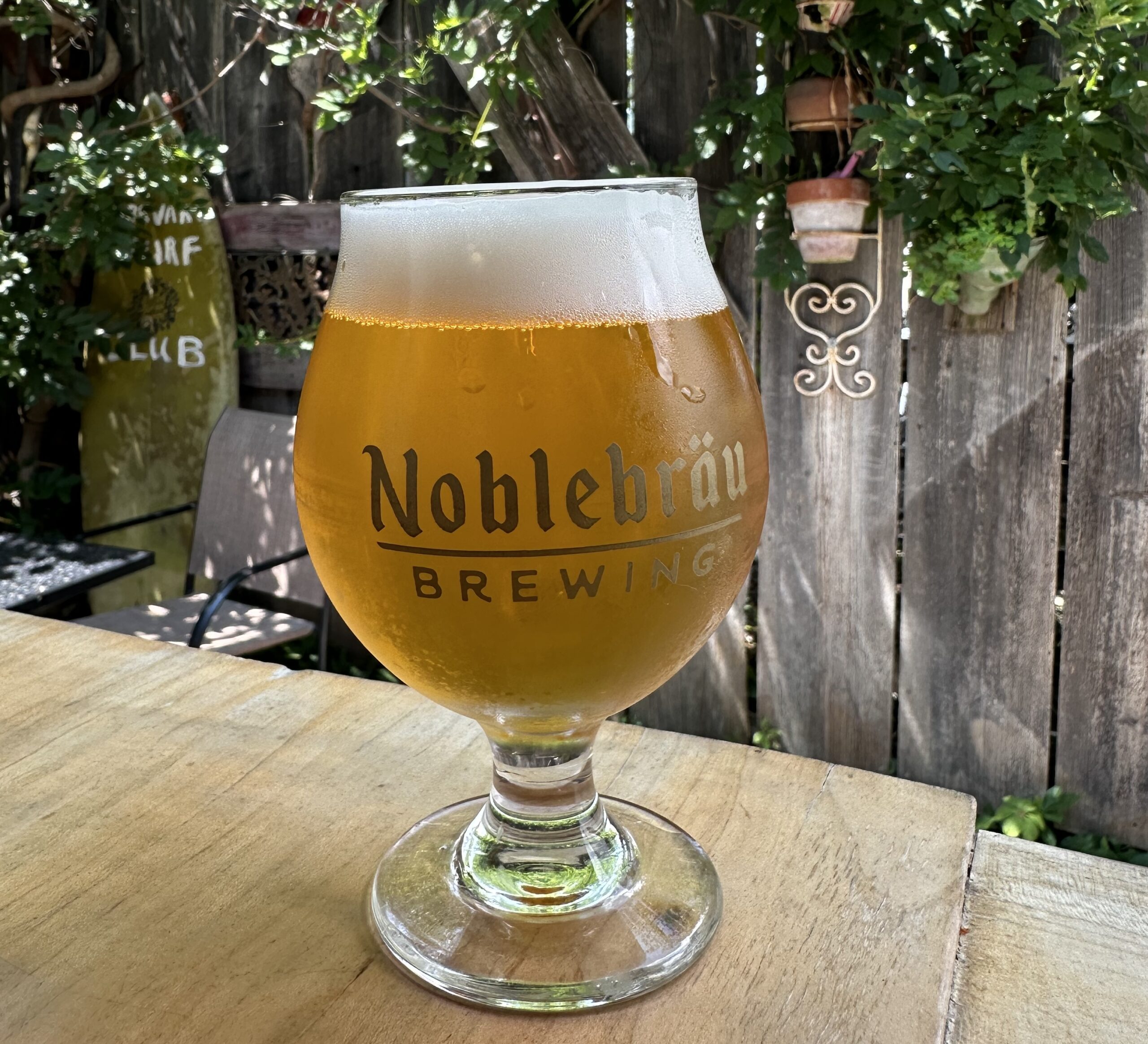 Noblebräu Brewing in Brevard, NC (3)