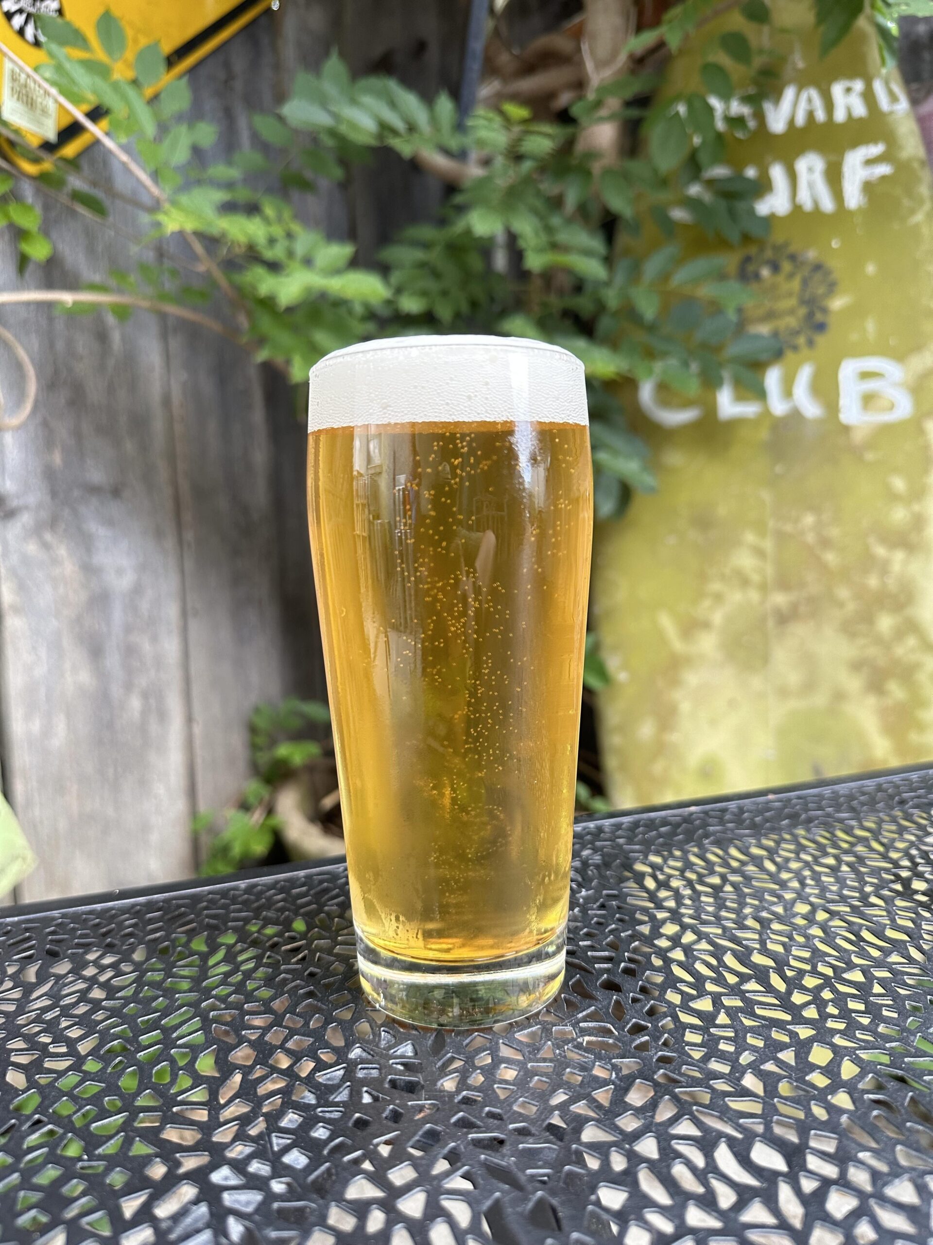 Noblebräu Brewing in Brevard, NC (6)