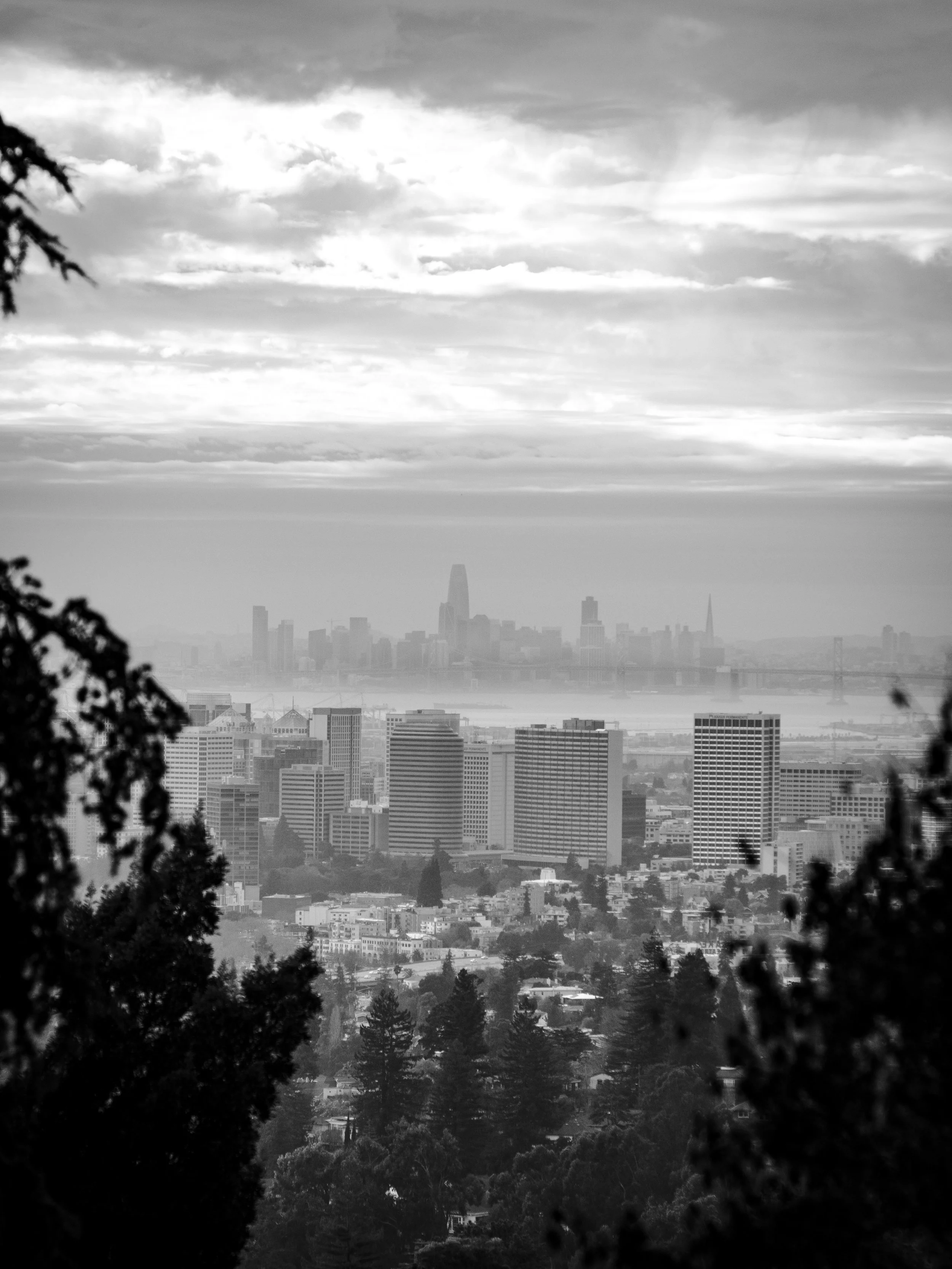 Adaptive Business Consulting, LLC in Echo Lake, CA (2)