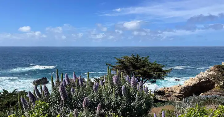 De Lay & Laredo in Pacific Grove, CA