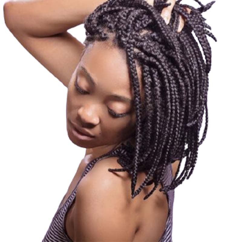 Laura Hair Braids in Manassas, VA (5)