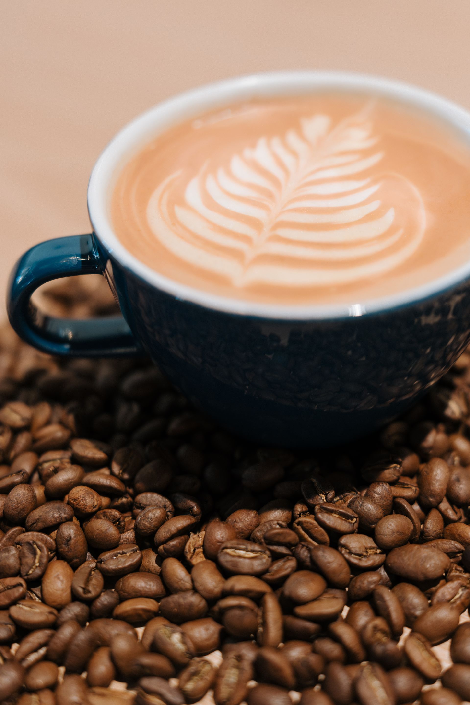 ROCO Kitchen + Coffee in Columbia, MD (4)