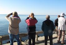 Pamlico County Chamber-Commerce in Grantsboro, NC (6)