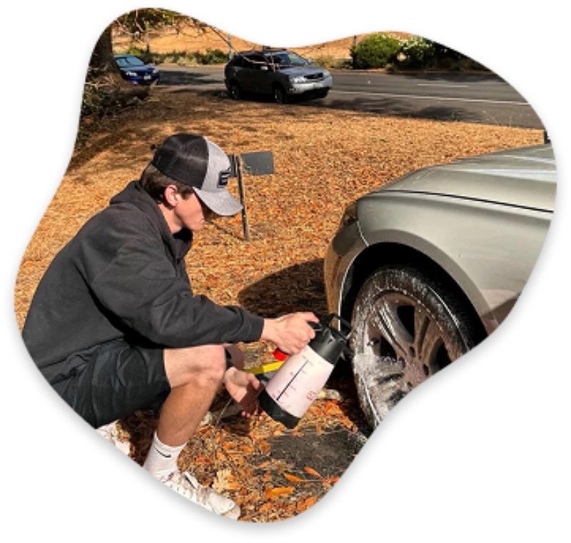 Marin Detailing Company in Novato, CA (3)
