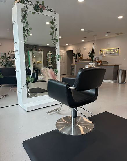Platinum Hair Studio in Erie, PA (2)